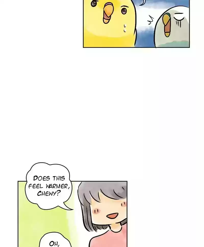 A Budgie's Life Chapter 136: Ep.136: