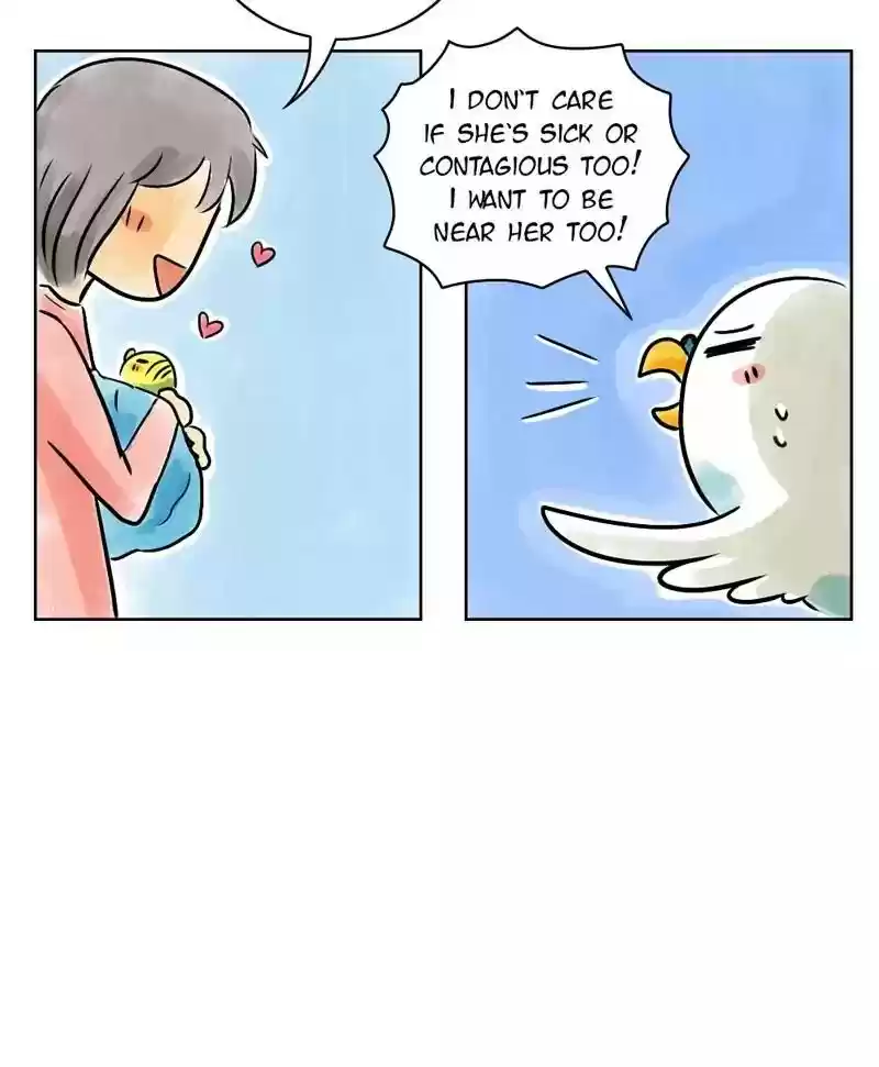 A Budgie's Life Chapter 136: Ep.136: