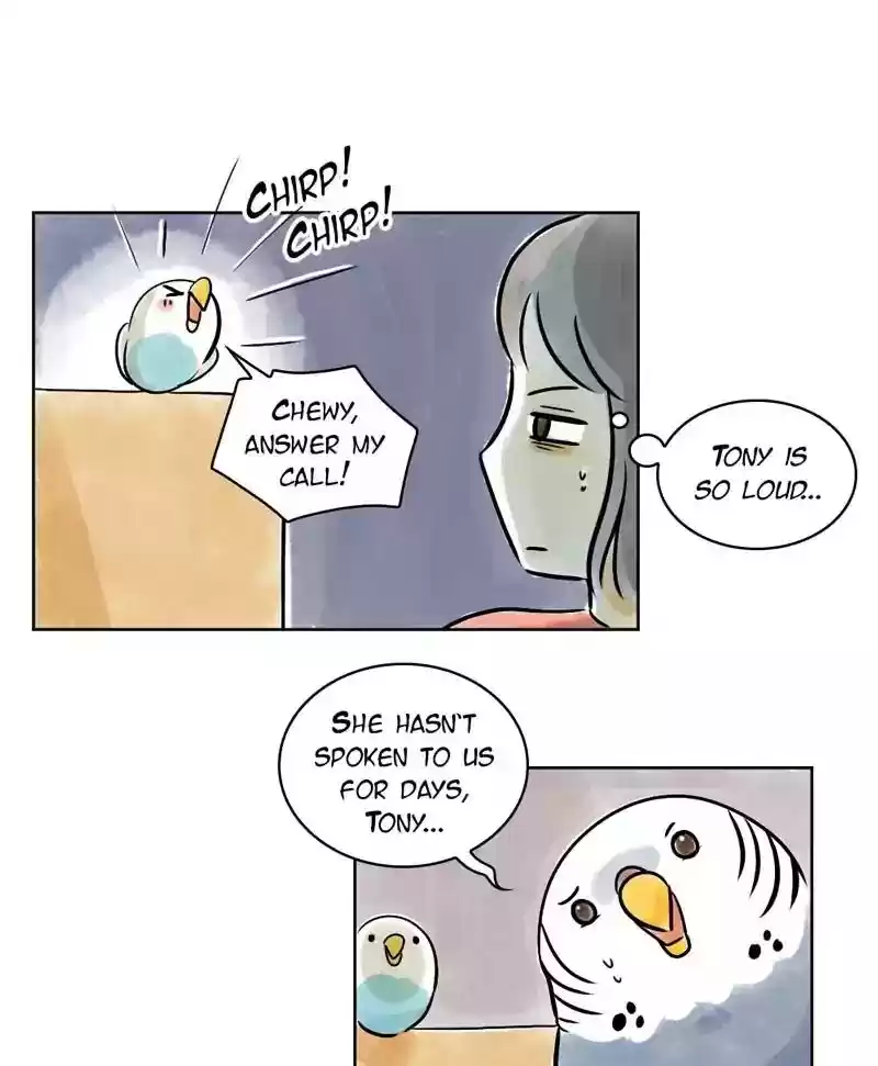 A Budgie's Life Chapter 136: Ep.136: