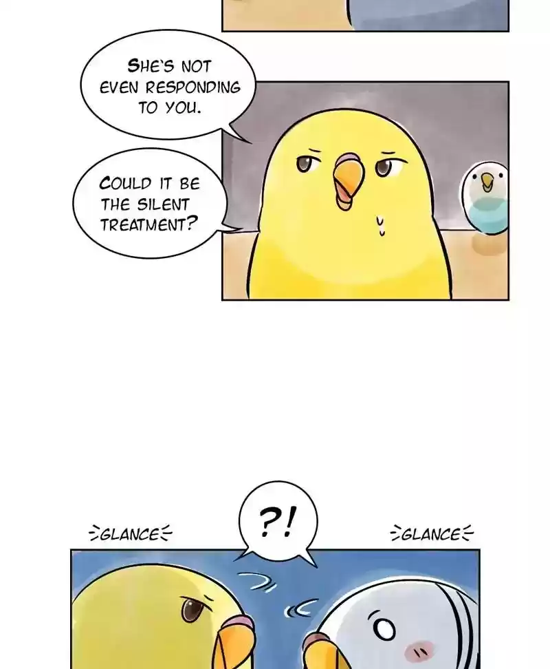 A Budgie's Life Chapter 136: Ep.136: