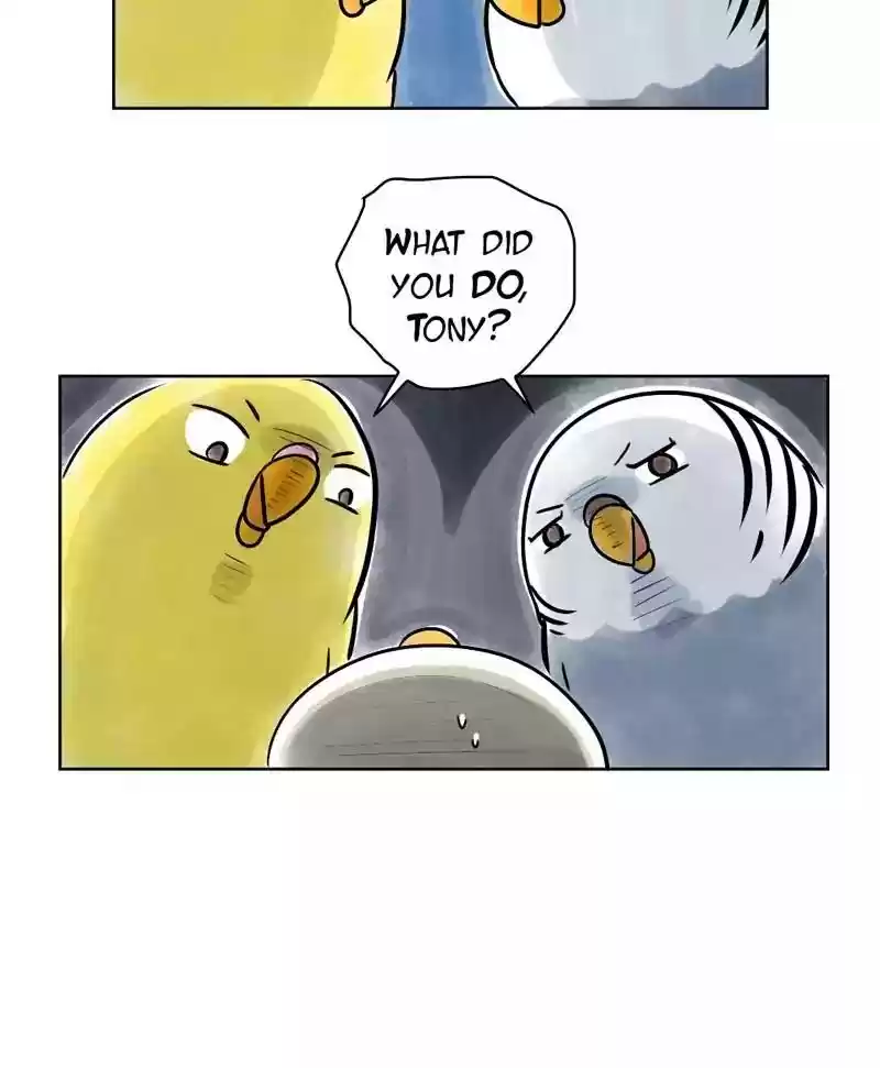 A Budgie's Life Chapter 136: Ep.136: