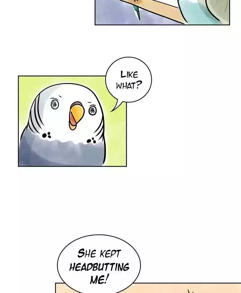 A Budgie's Life Chapter 136: Ep.136: