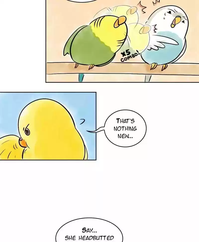 A Budgie's Life Chapter 136: Ep.136: