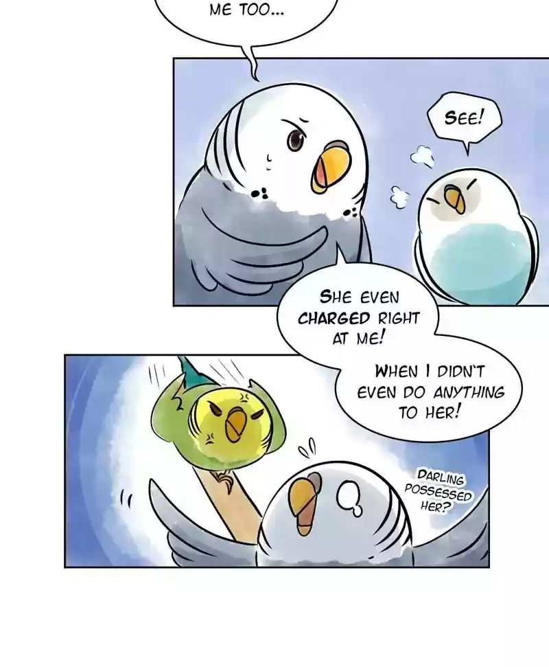 A Budgie's Life Chapter 136: Ep.136: