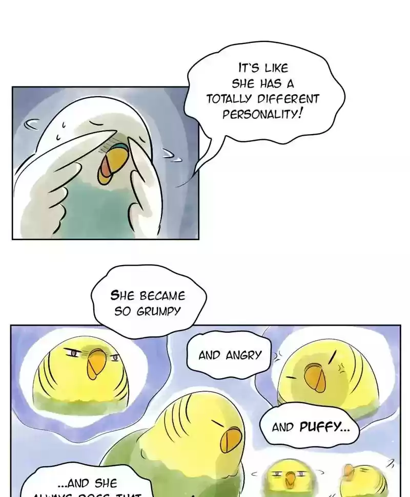 A Budgie's Life Chapter 136: Ep.136: