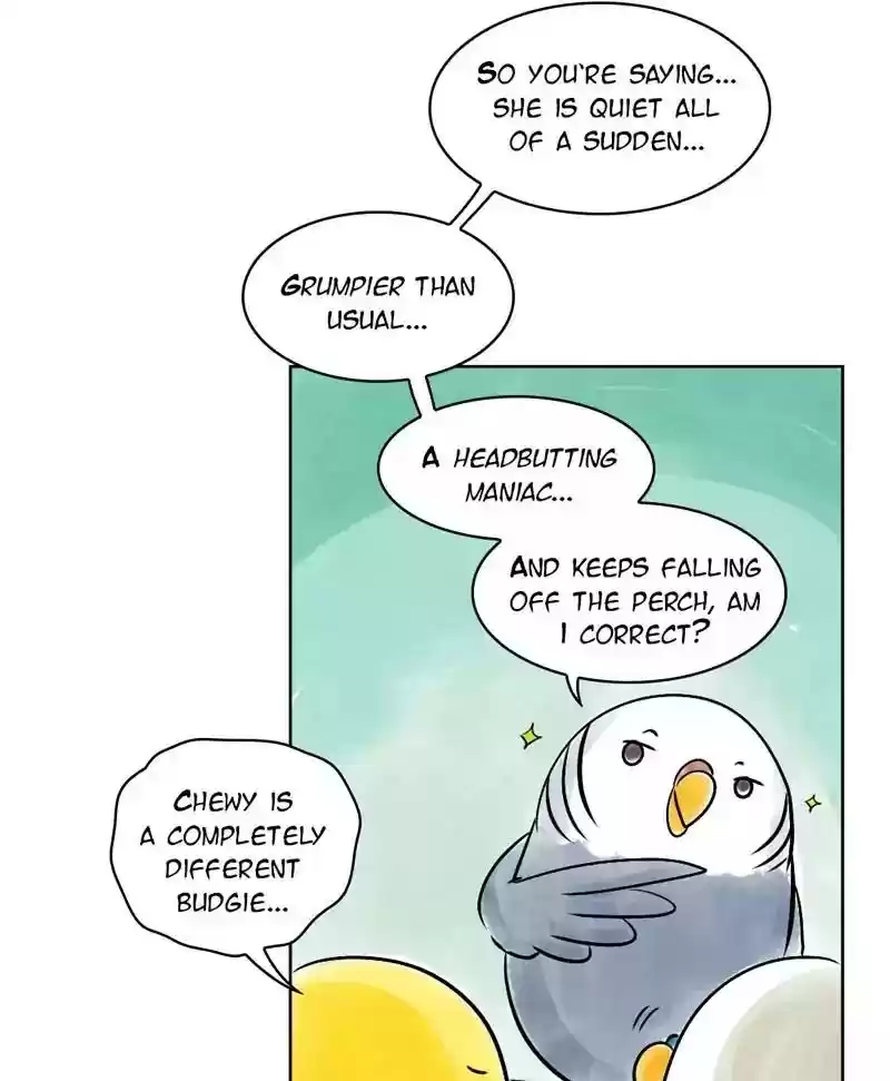A Budgie's Life Chapter 136: Ep.136: