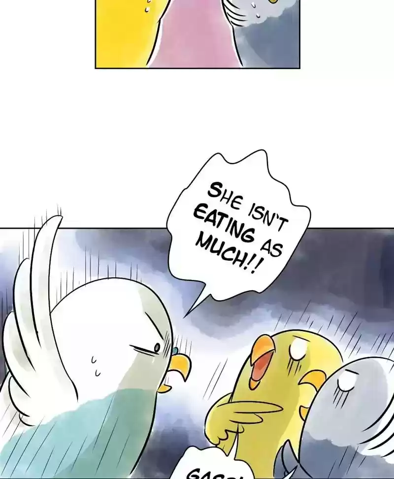 A Budgie's Life Chapter 136: Ep.136: