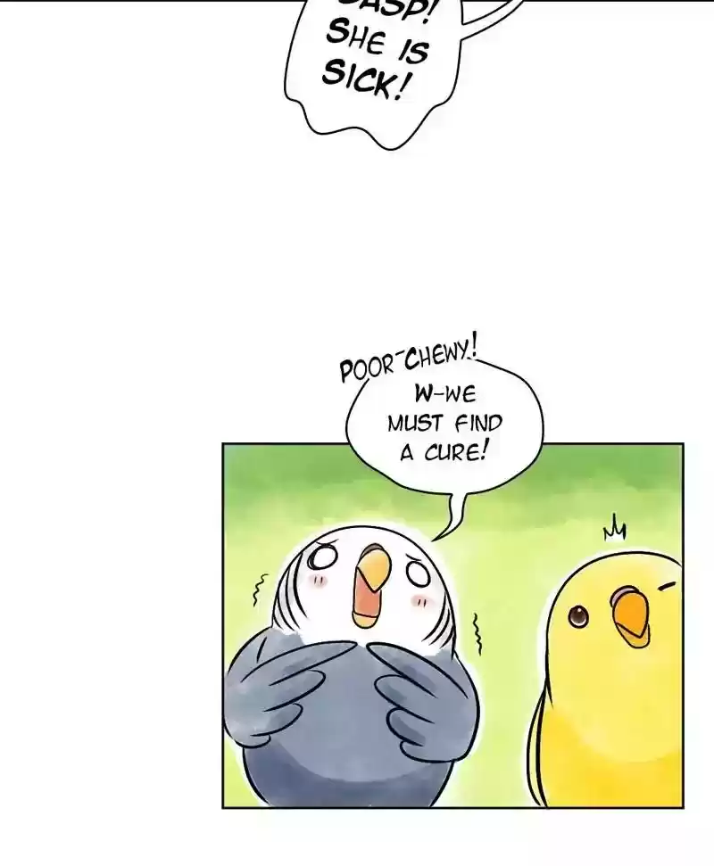 A Budgie's Life Chapter 136: Ep.136: