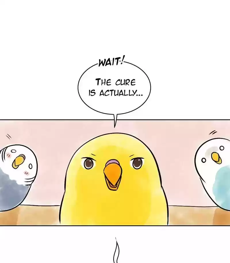 A Budgie's Life Chapter 136: Ep.136: