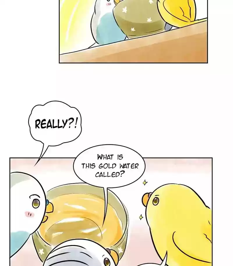 A Budgie's Life Chapter 136: Ep.136: