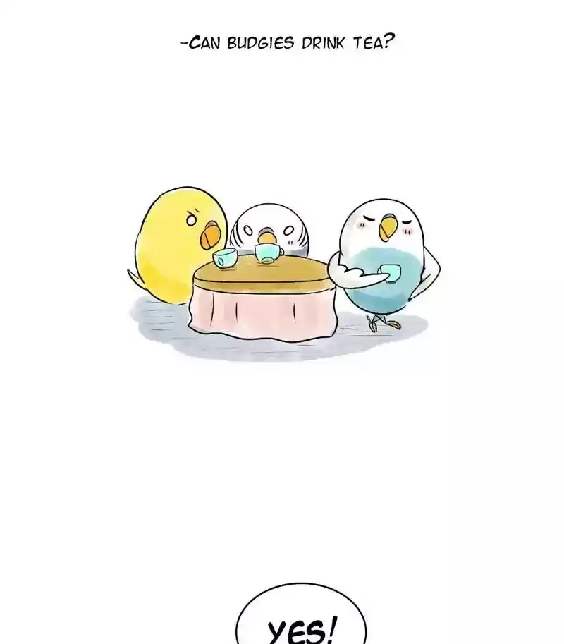 A Budgie's Life Chapter 136: Ep.136: