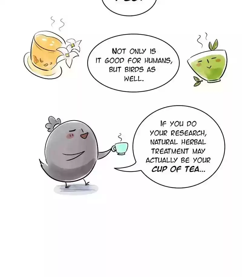 A Budgie's Life Chapter 136: Ep.136: