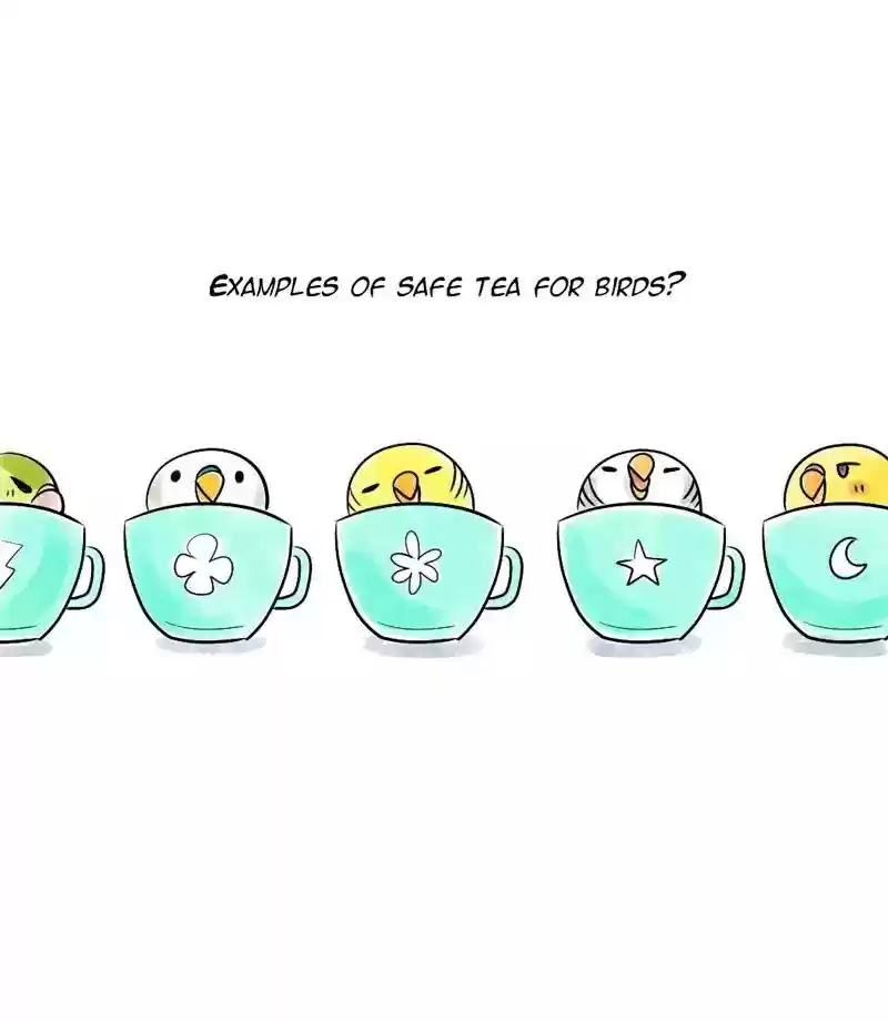 A Budgie's Life Chapter 136: Ep.136: