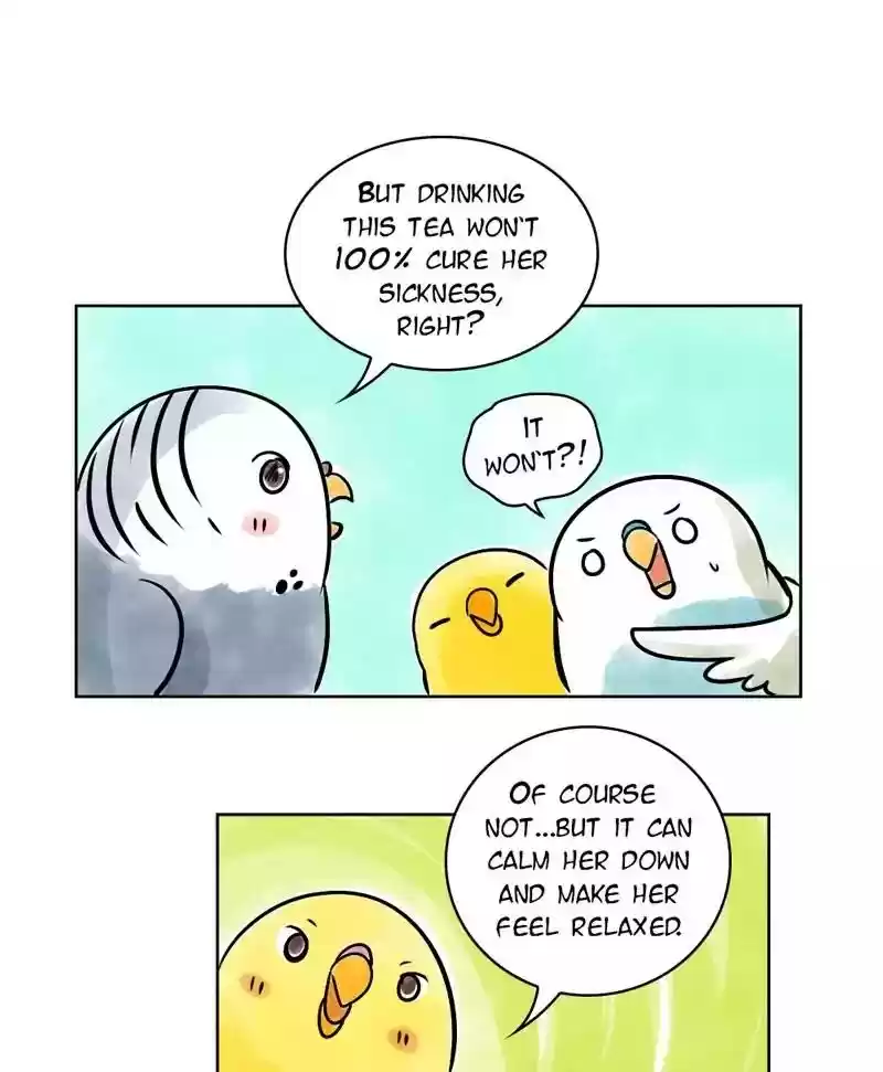 A Budgie's Life Chapter 136: Ep.136: