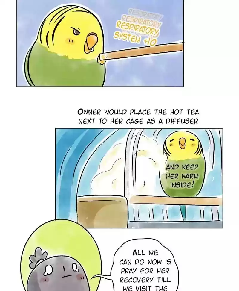 A Budgie's Life Chapter 136: Ep.136: