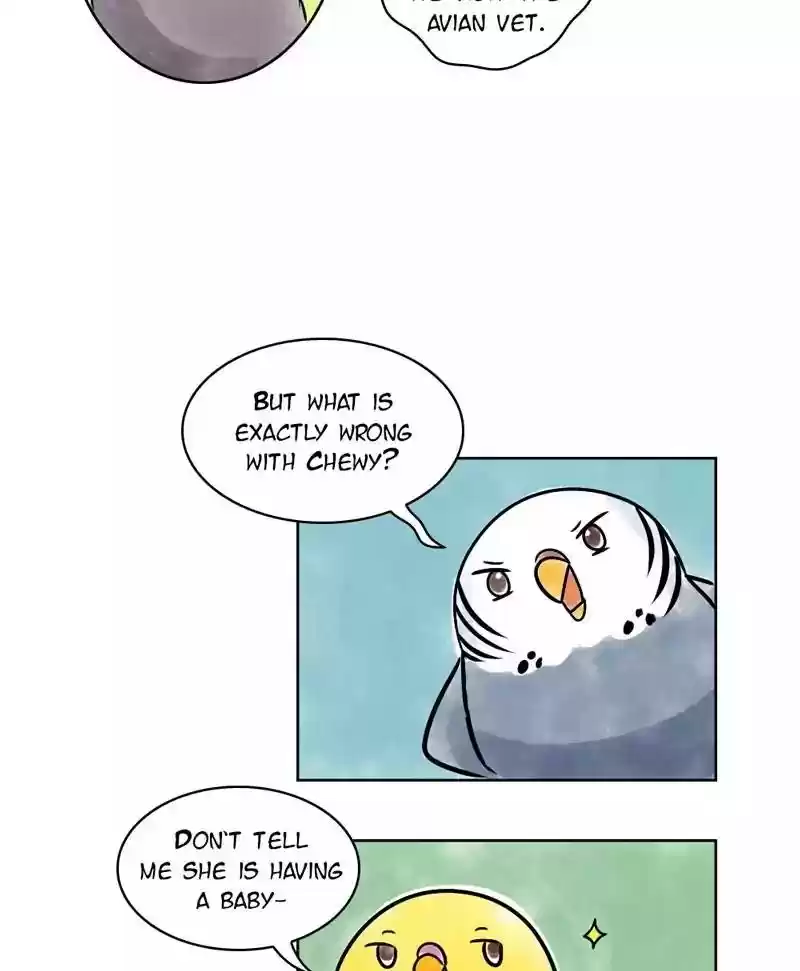 A Budgie's Life Chapter 136: Ep.136: