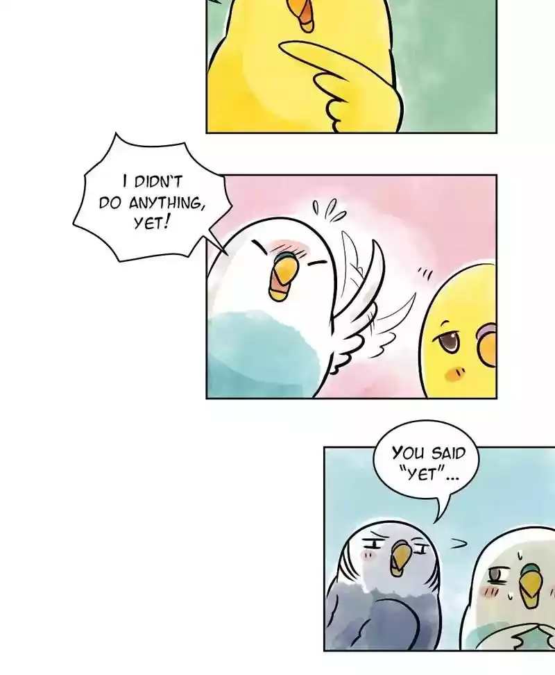 A Budgie's Life Chapter 136: Ep.136: