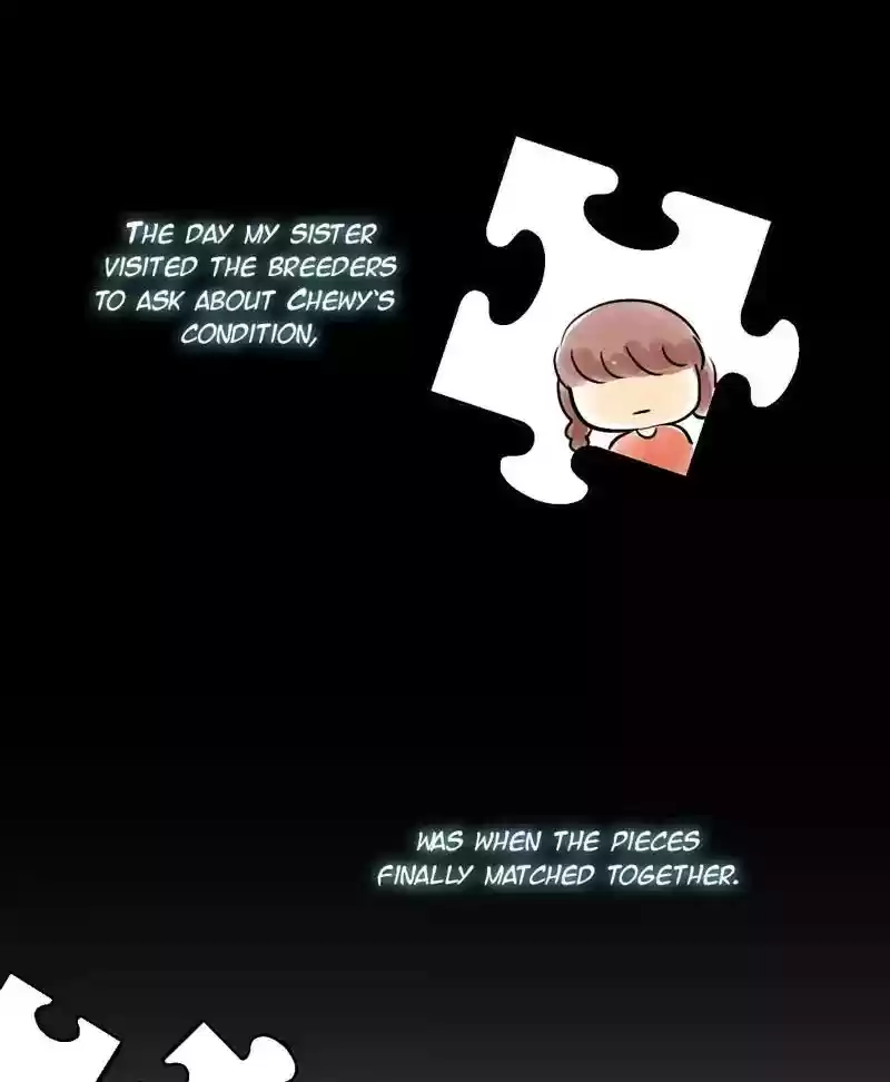 A Budgie's Life Chapter 137: Ep.137: