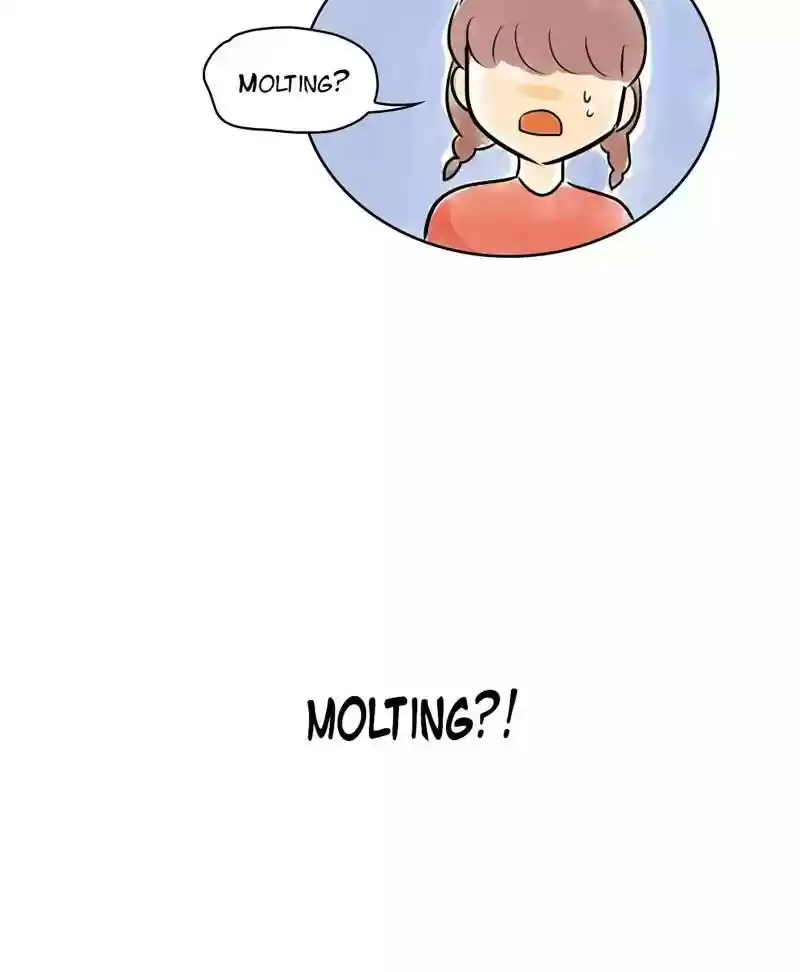 A Budgie's Life Chapter 137: Ep.137: