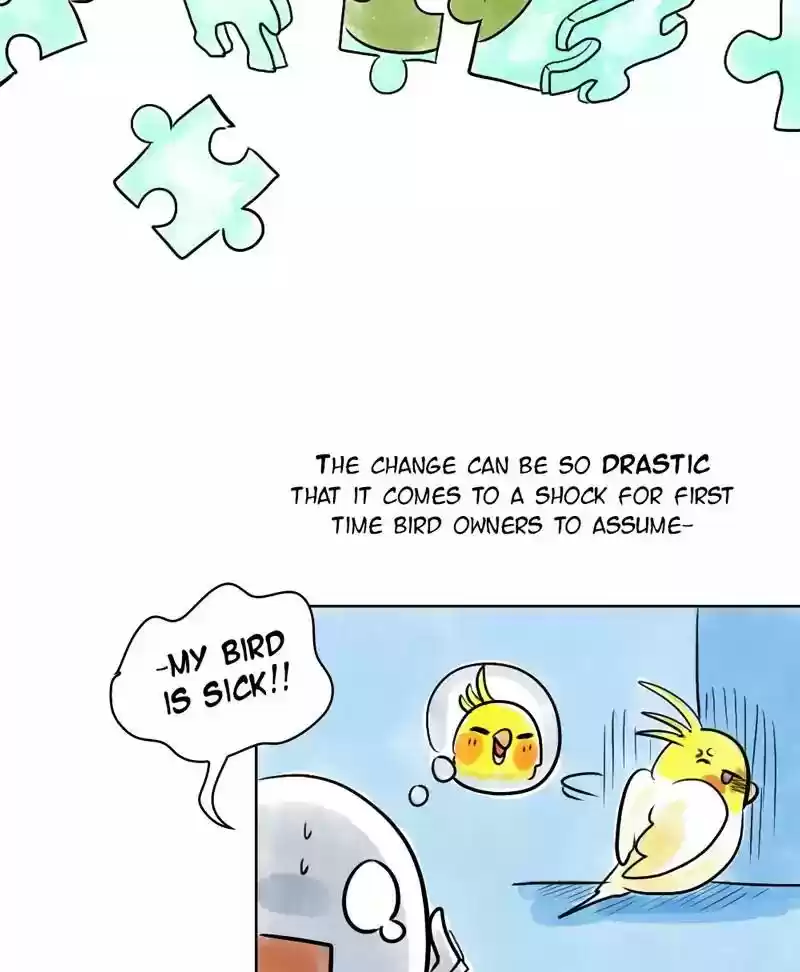 A Budgie's Life Chapter 137: Ep.137: