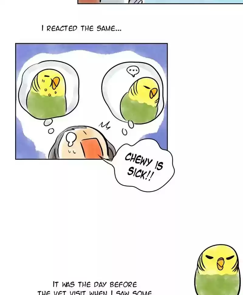A Budgie's Life Chapter 137: Ep.137: