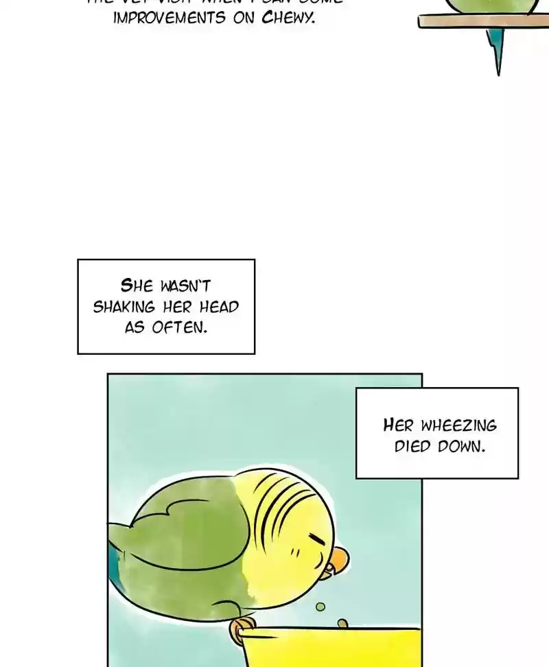 A Budgie's Life Chapter 137: Ep.137: