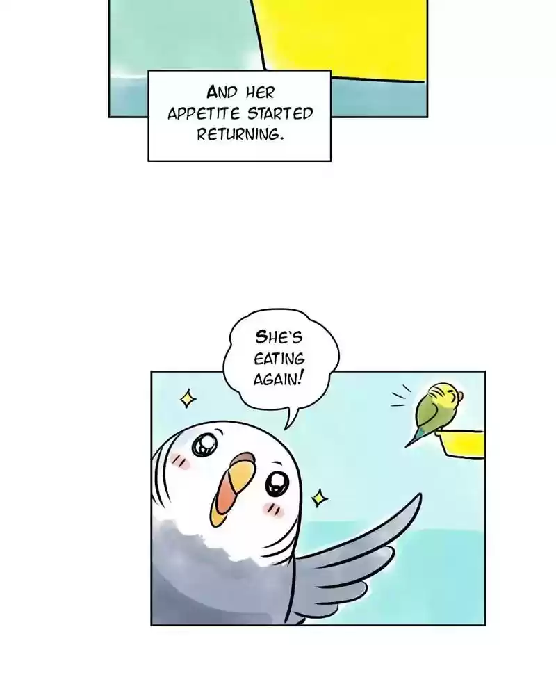 A Budgie's Life Chapter 137: Ep.137: