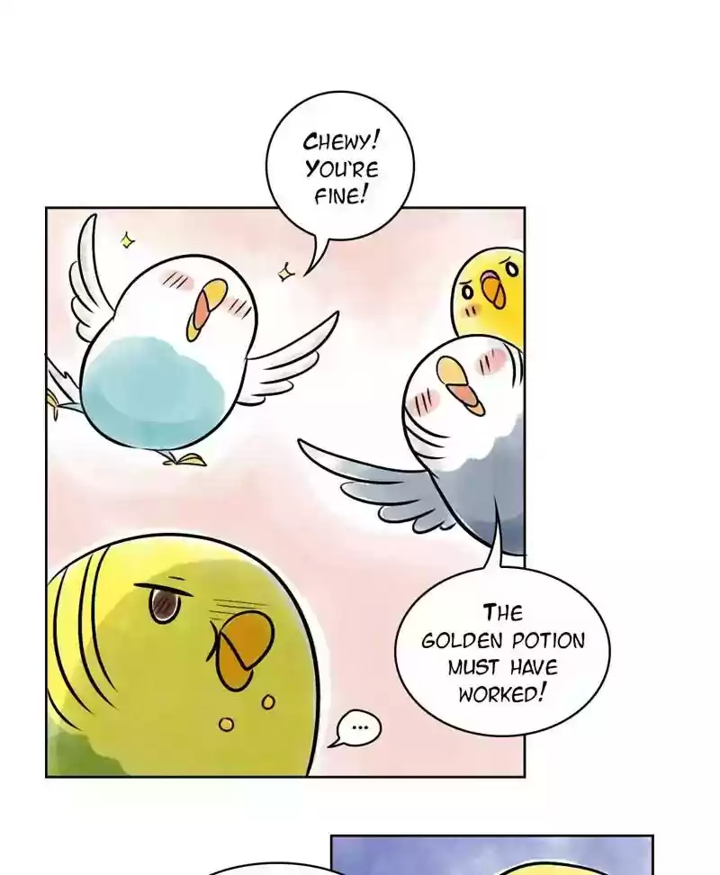 A Budgie's Life Chapter 137: Ep.137:
