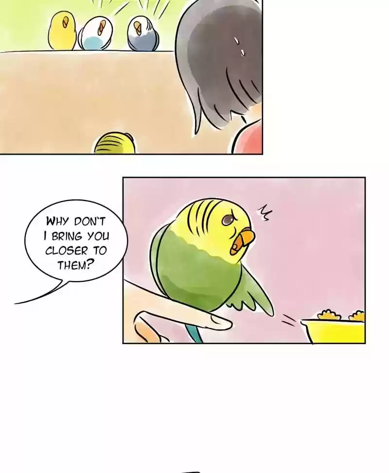 A Budgie's Life Chapter 137: Ep.137: