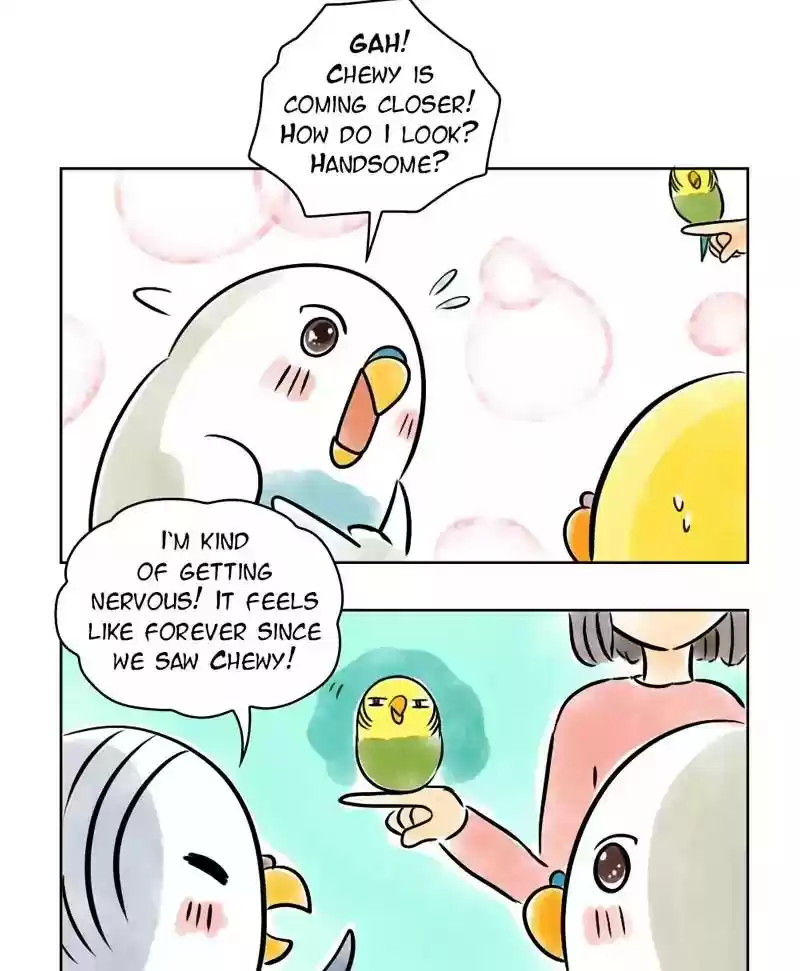 A Budgie's Life Chapter 137: Ep.137: