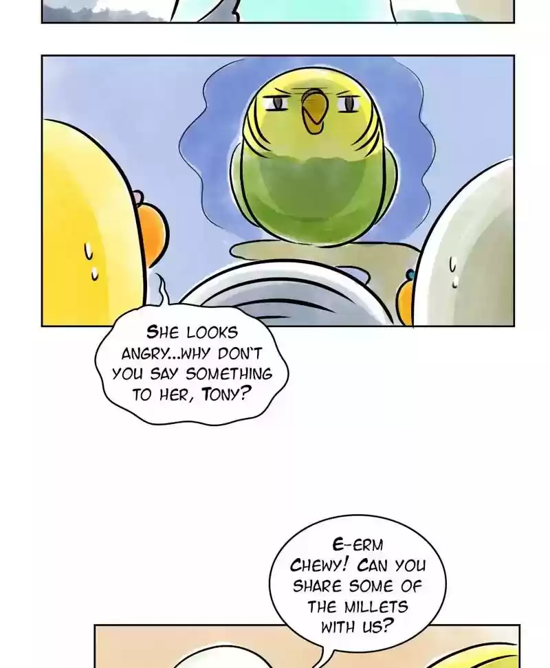 A Budgie's Life Chapter 137: Ep.137: