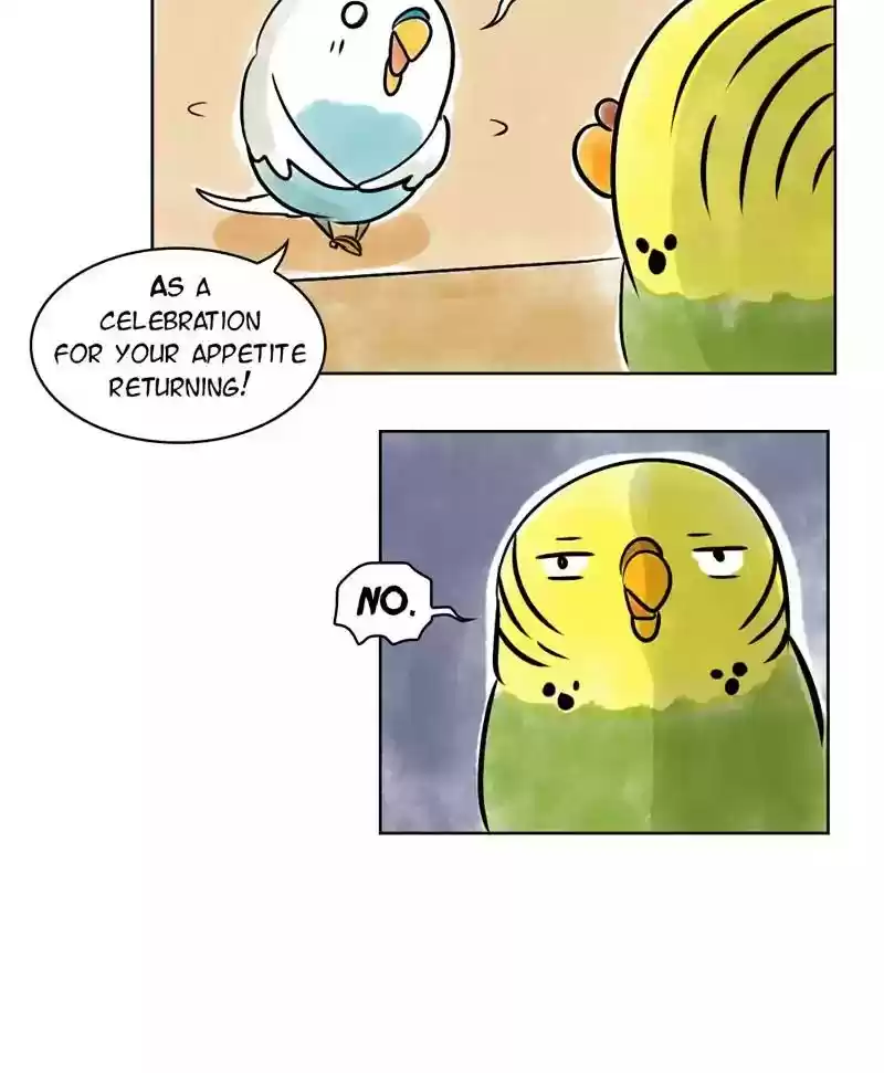 A Budgie's Life Chapter 137: Ep.137: