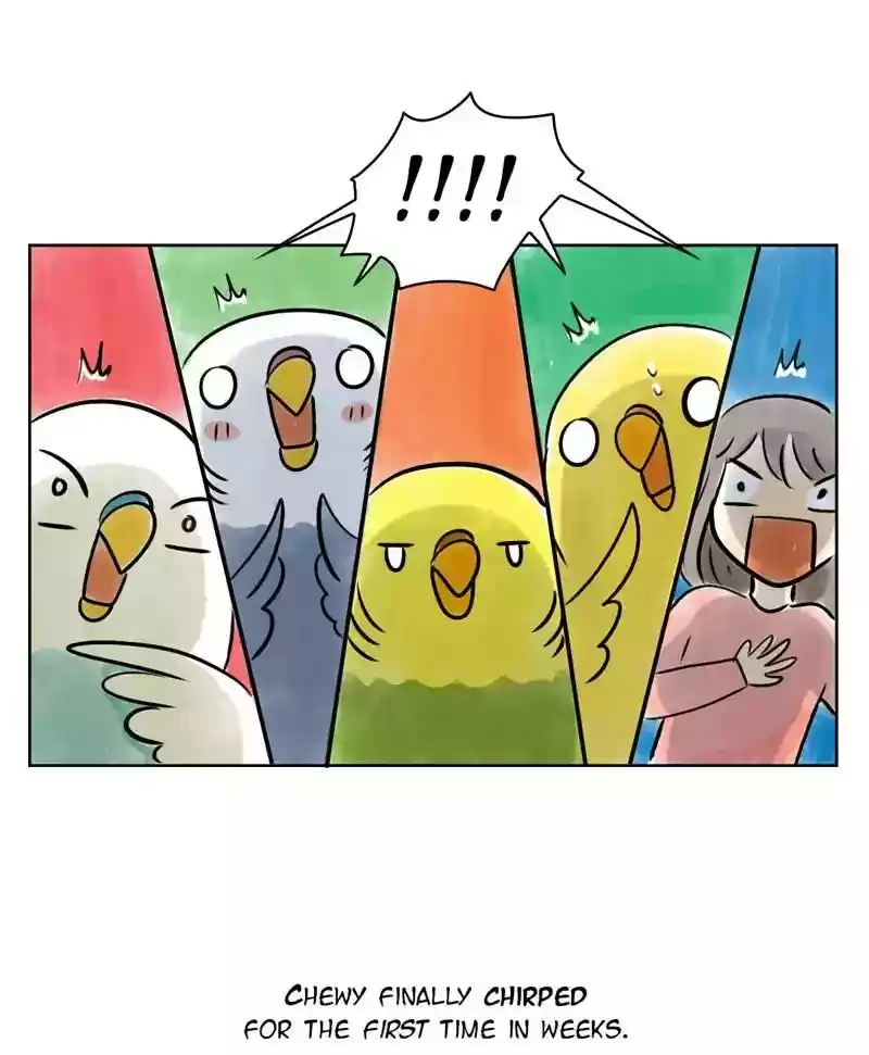 A Budgie's Life Chapter 137: Ep.137: