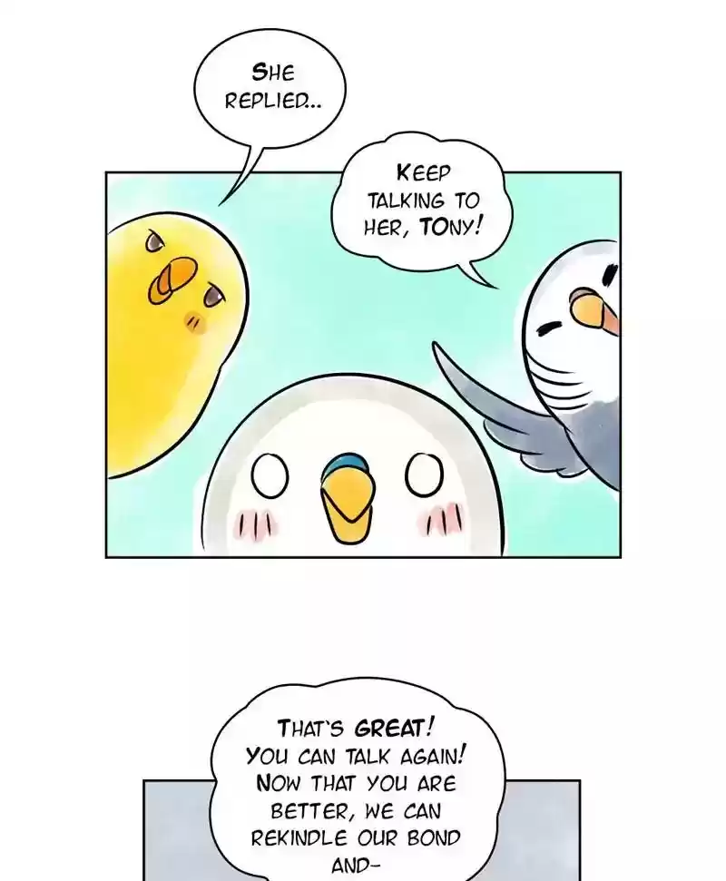 A Budgie's Life Chapter 137: Ep.137: