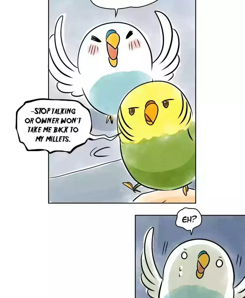 A Budgie's Life Chapter 137: Ep.137: