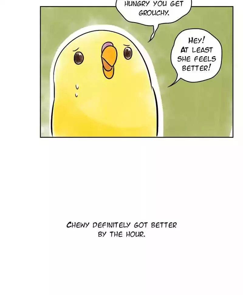 A Budgie's Life Chapter 137: Ep.137: