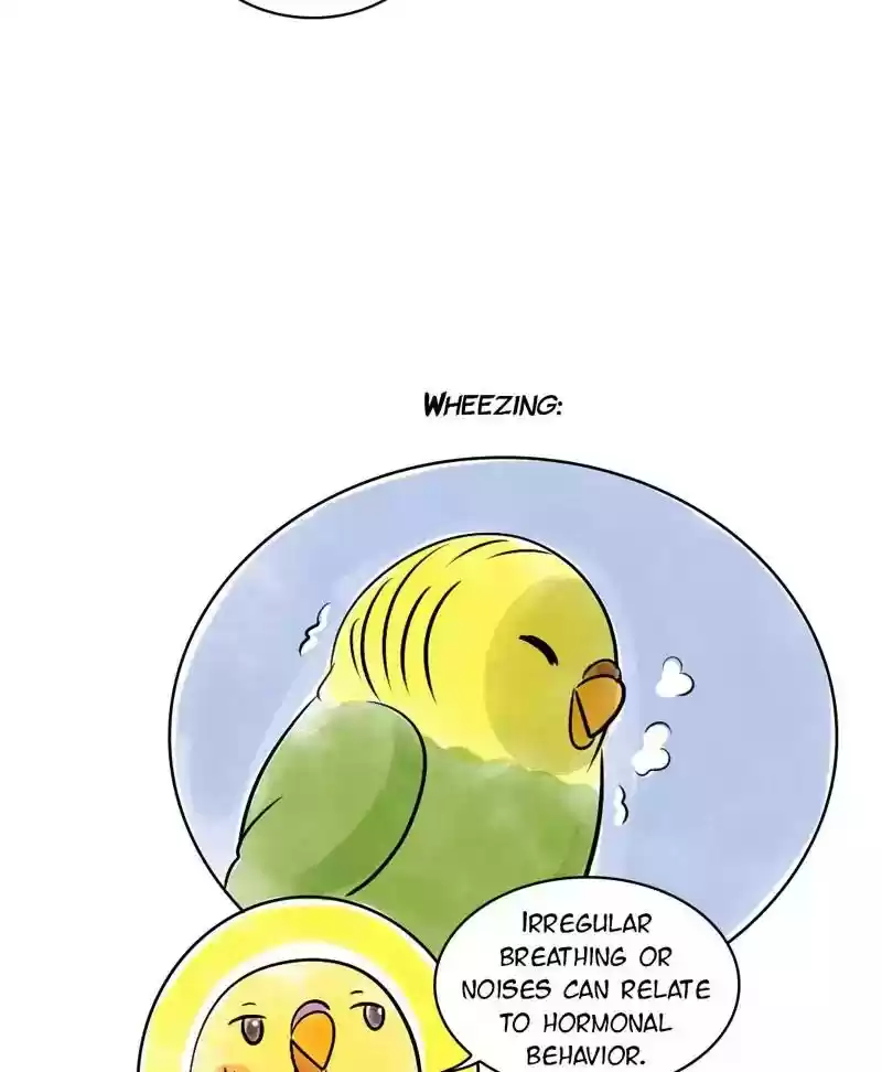 A Budgie's Life Chapter 137: Ep.137: