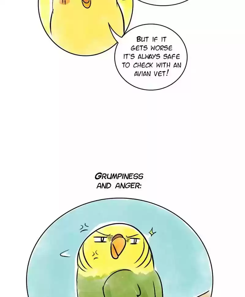 A Budgie's Life Chapter 137: Ep.137:
