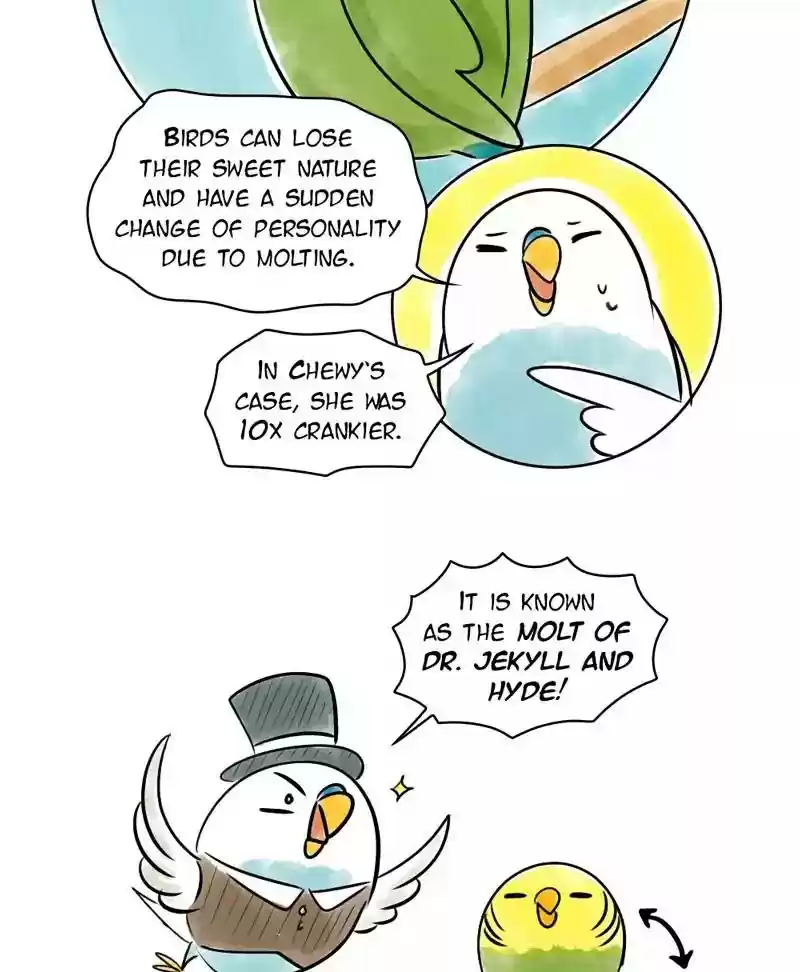 A Budgie's Life Chapter 137: Ep.137: