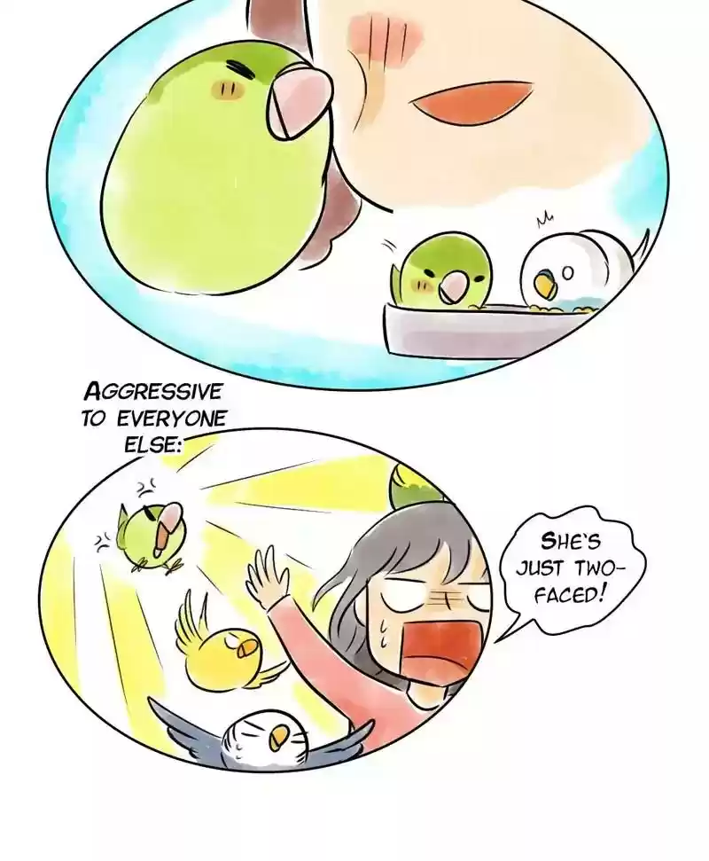 A Budgie's Life Chapter 137: Ep.137: