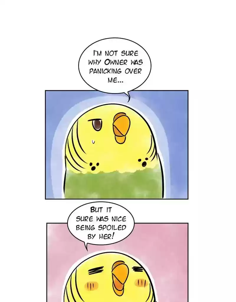 A Budgie's Life Chapter 137: Ep.137: