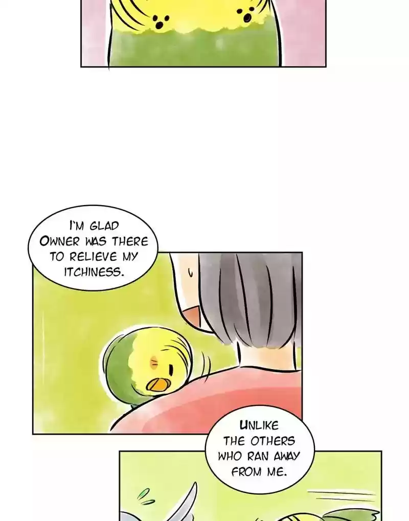 A Budgie's Life Chapter 137: Ep.137: