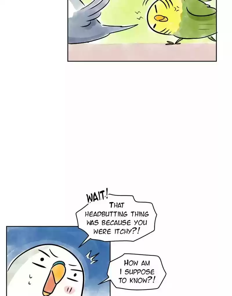 A Budgie's Life Chapter 137: Ep.137: