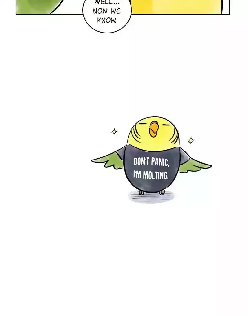 A Budgie's Life Chapter 137: Ep.137: