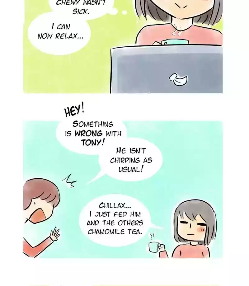 A Budgie's Life Chapter 137: Ep.137: