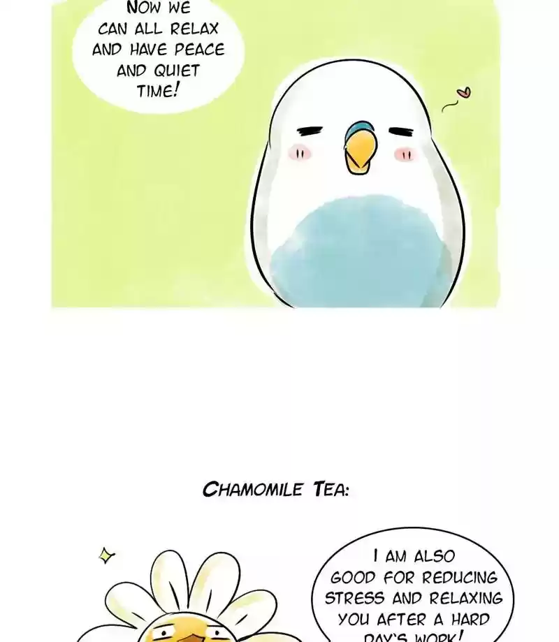 A Budgie's Life Chapter 137: Ep.137: