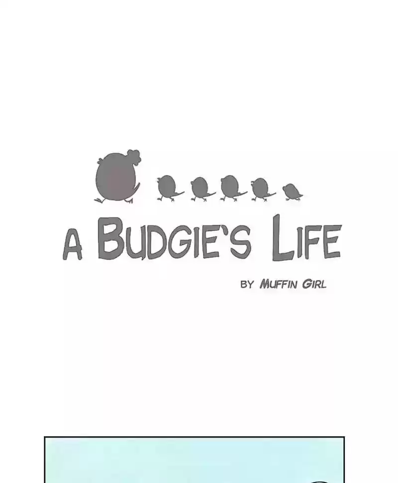 A Budgie's Life Chapter 138: Ep.138: