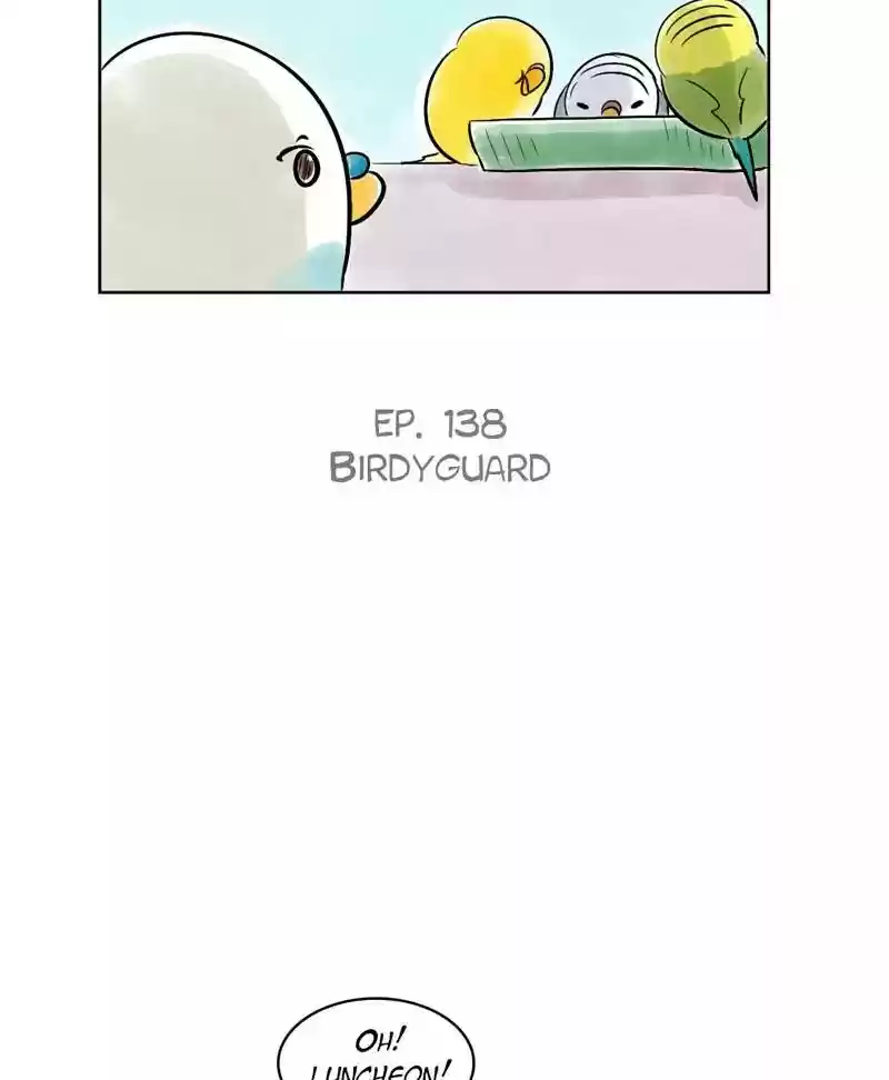 A Budgie's Life Chapter 138: Ep.138: