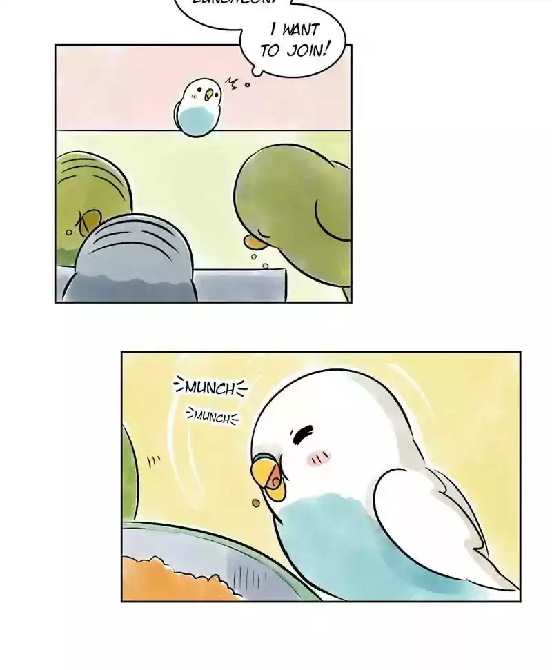 A Budgie's Life Chapter 138: Ep.138: