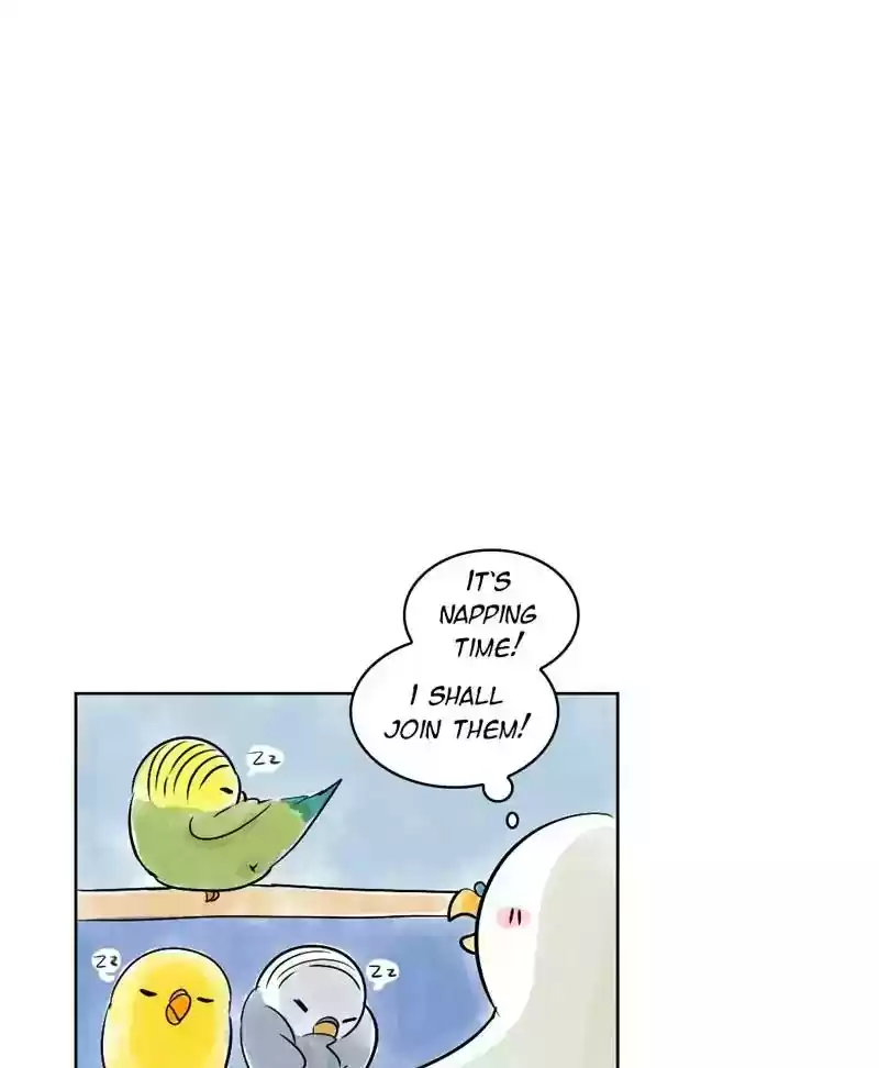 A Budgie's Life Chapter 138: Ep.138: